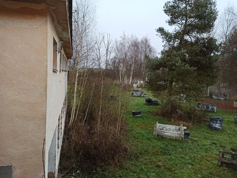 Foto 263